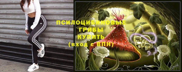 спайс Козельск