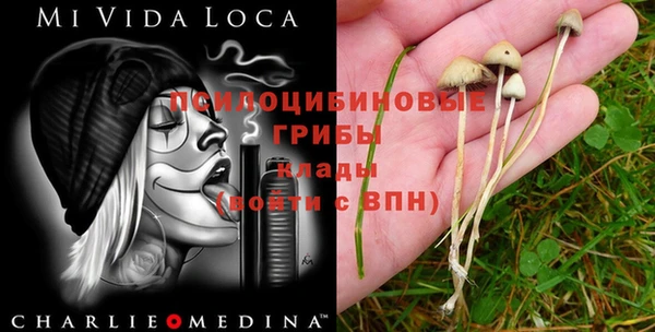 спайс Козельск