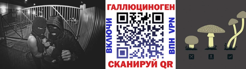Псилоцибиновые грибы Psilocybine cubensis  Купить закладки  Буинск 